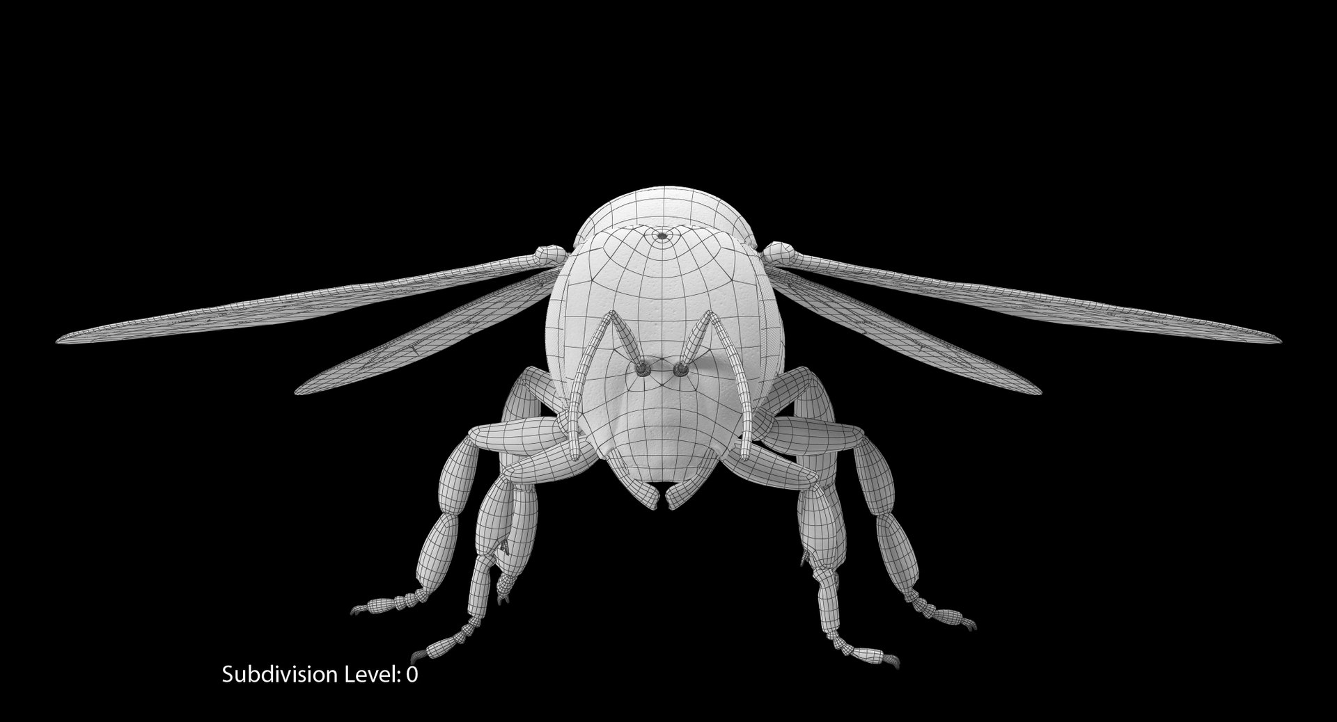 max honey bee https://p.turbosquid.com/ts-thumb/wn/zbctWW/HDsx2PHs/it00_cam03/jpg/1456747764/1920x1080/fit_q87/0c72ac46afa309c1418115ce637463381cf0179a/it00_cam03.jpg