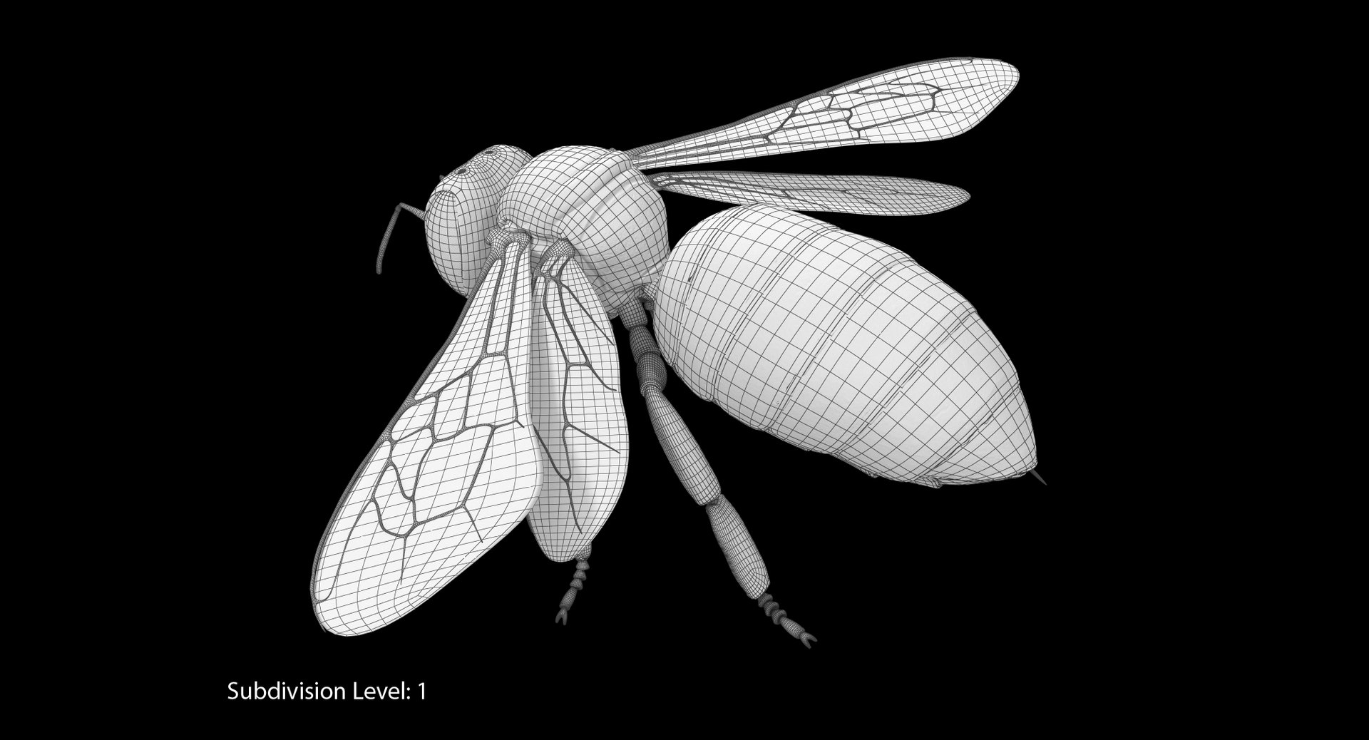 max honey bee https://p.turbosquid.com/ts-thumb/wn/zbctWW/YaPJsoCX/it01_cam04/jpg/1456747764/1920x1080/fit_q87/50ac2231dd01a7cae60fe5df215a5d06e8e6de34/it01_cam04.jpg