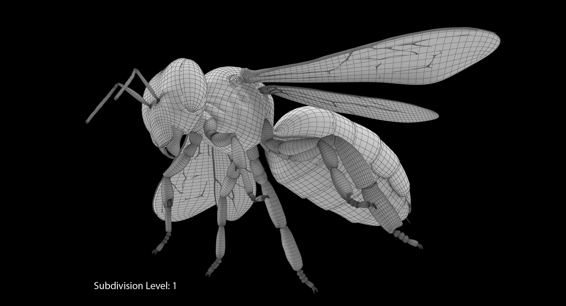 max honey bee https://p.turbosquid.com/ts-thumb/wn/zbctWW/bZRbzsxh/it01_cam07/jpg/1456747764/1920x1080/fit_q87/20dc94264b00caba0b190f3adf4f1caae12d7c0e/it01_cam07.jpg