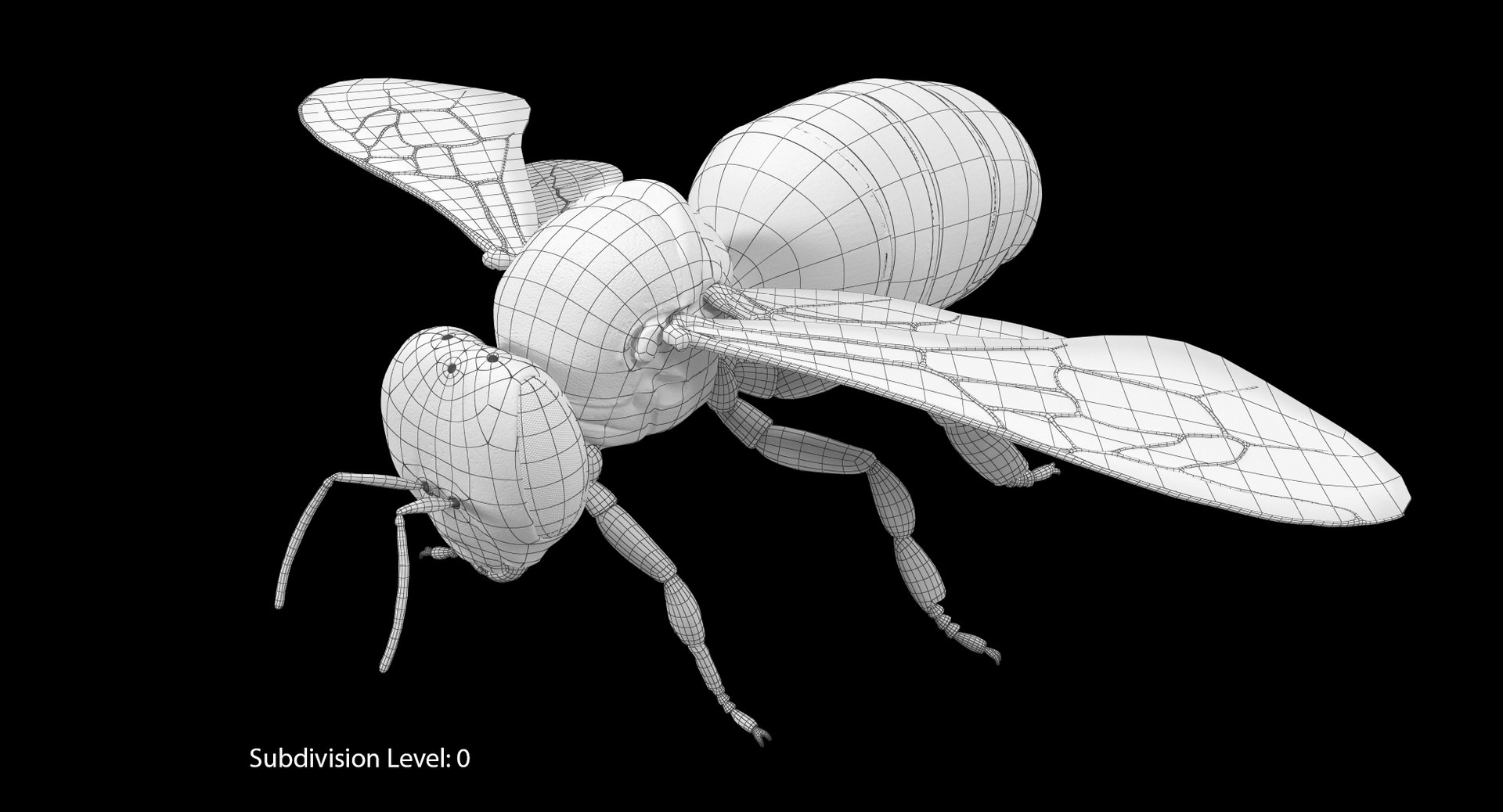 max honey bee https://p.turbosquid.com/ts-thumb/wn/zbctWW/h5fAal1E/it00_cam01/jpg/1456747764/1920x1080/fit_q87/f291040cfb91e4b4624448ac199ece081f7ac192/it00_cam01.jpg