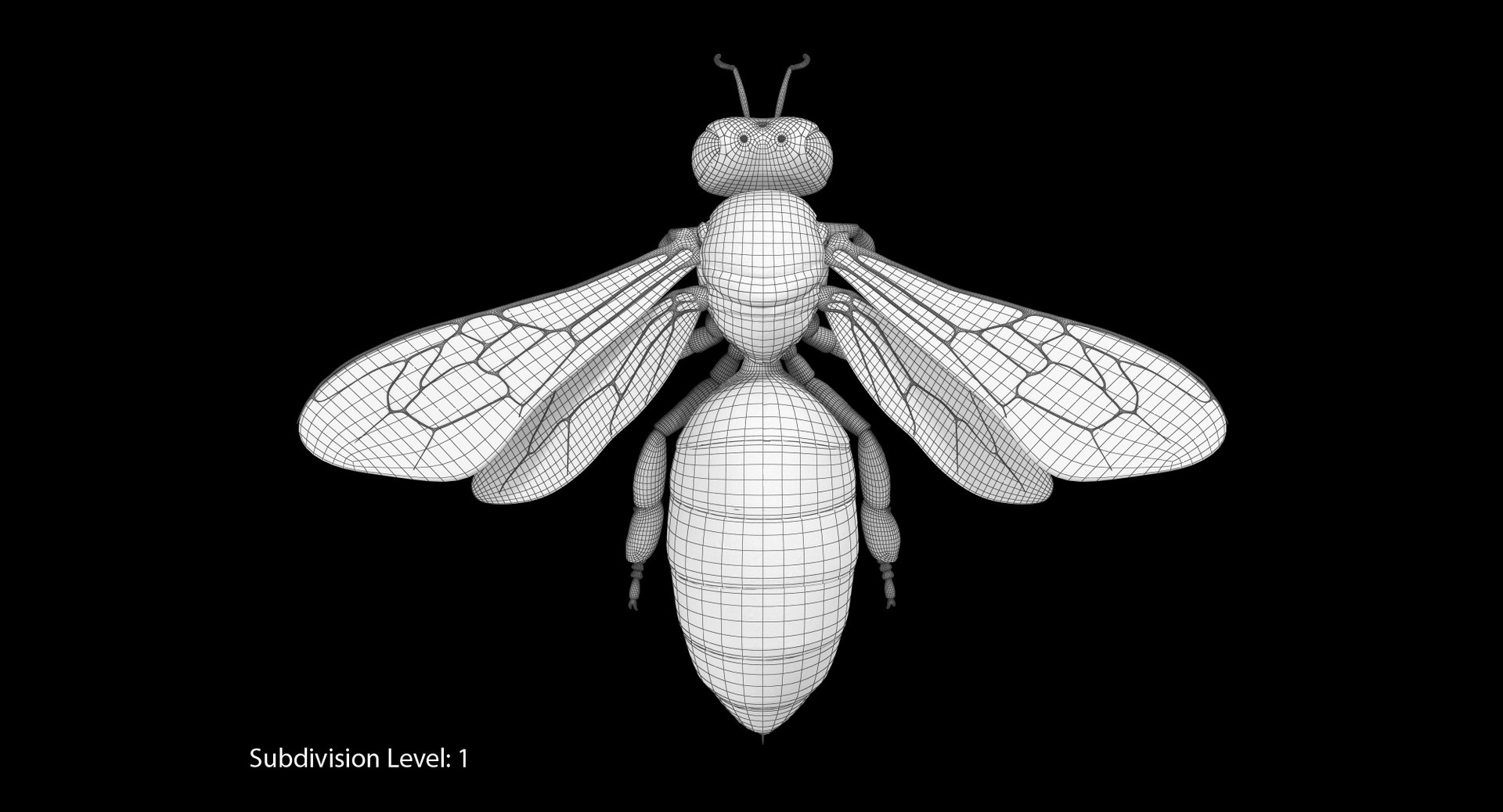 max honey bee https://p.turbosquid.com/ts-thumb/wn/zbctWW/yjNbjRzV/it01_cam06/jpg/1456747764/1920x1080/fit_q87/ba269999d54355884b0cc7cddfea55b730aacb7f/it01_cam06.jpg