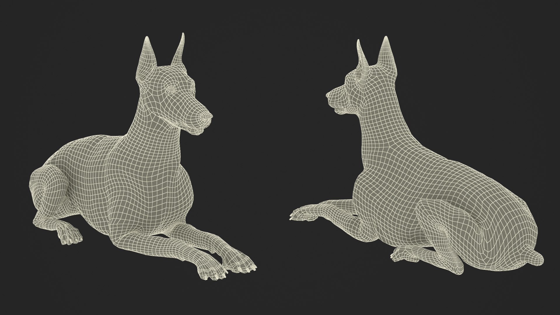 Doberman Pinscher Lying Down Fur 3D Model - TurboSquid 2332272