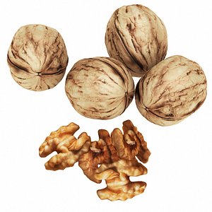 3D model walnut nut