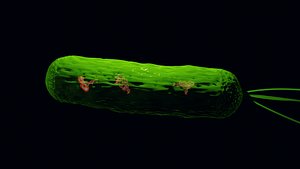 Bacteria With Dna Helix Detailed