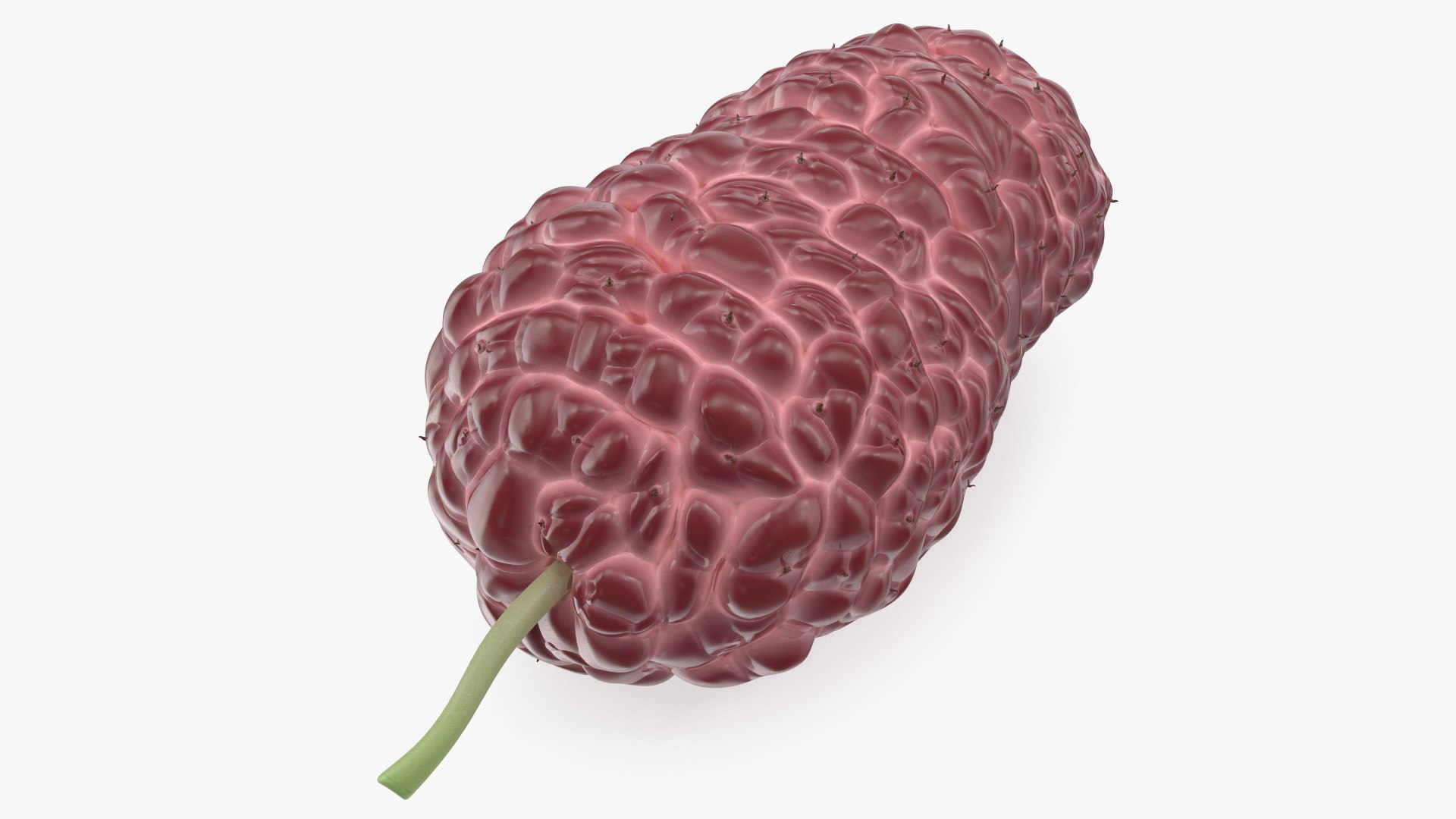 Mulberry Fruit Pink 3D model preview