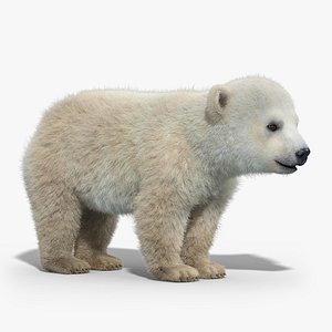 polar bear baby fur hair 3d max