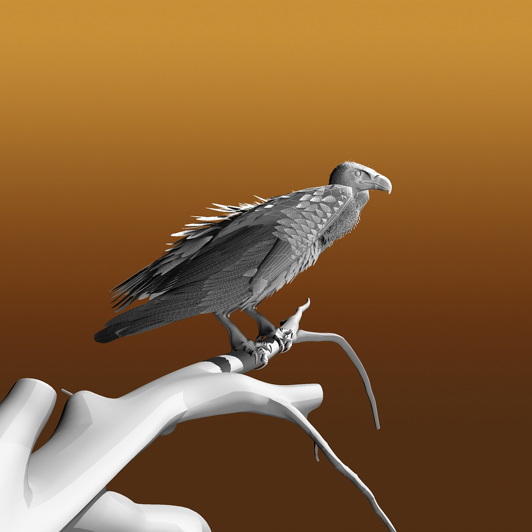 griffon vulture lwo https://p.turbosquid.com/ts-thumb/wo/PLHbn9/8Acky233/wire/jpg/1367249874/1920x1080/turn_fit_q99/b091032ea430bbc615f33af1075ee946b612fb10/wire-1.jpg