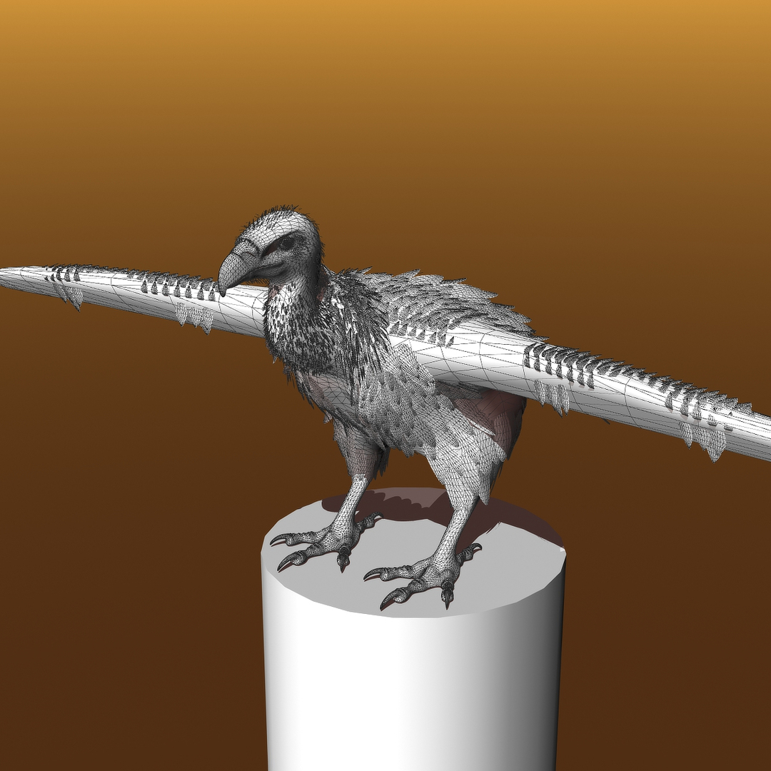 griffon vulture lwo https://p.turbosquid.com/ts-thumb/wo/PLHbn9/JxMSwA3E/gvttwire01ccu/jpg/1366838782/1920x1080/turn_fit_q99/c16ec4d09272bbb2ae67559dcf70725cade5b9fb/gvttwire01ccu-1.jpg