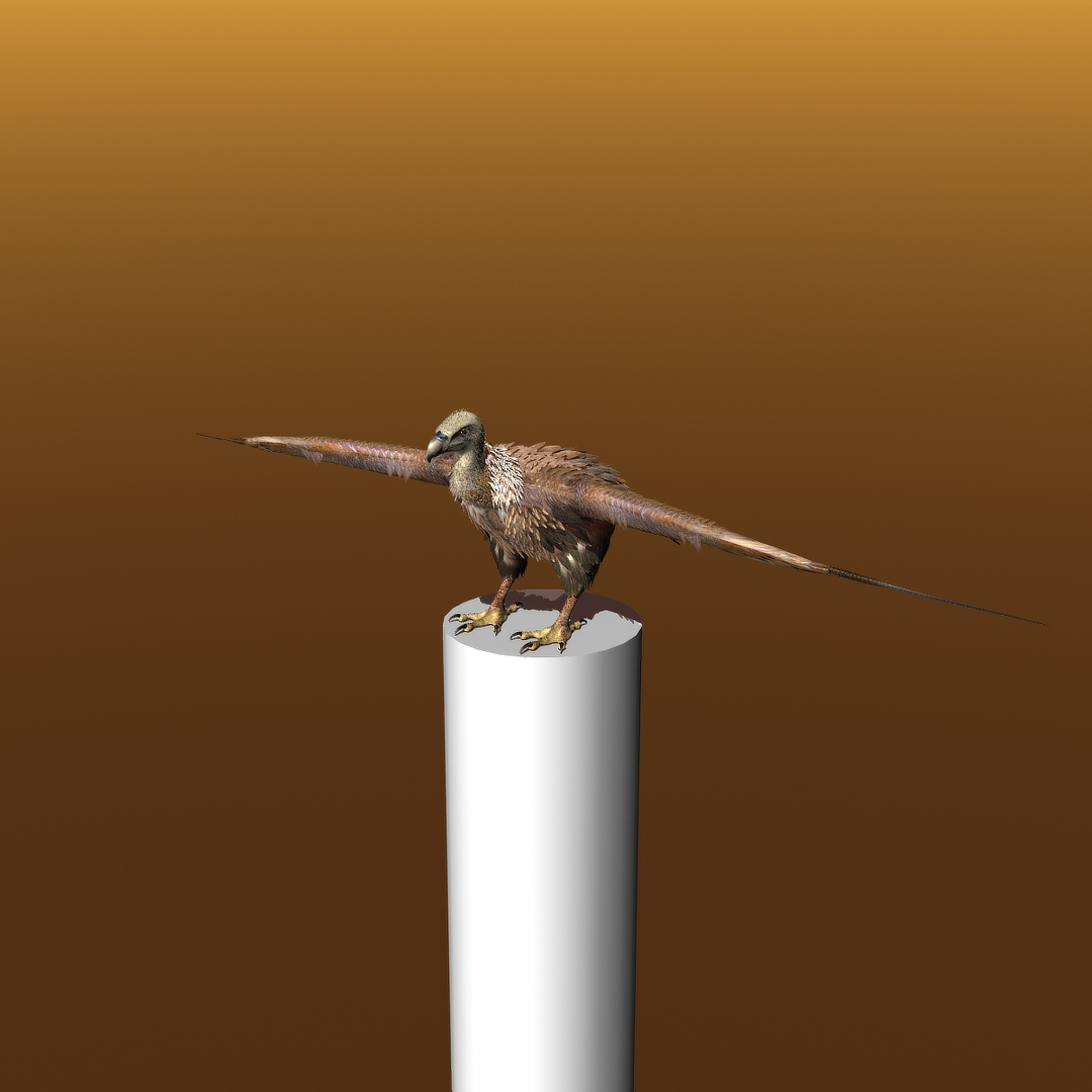 griffon vulture lwo https://p.turbosquid.com/ts-thumb/wo/PLHbn9/RFaJSPhg/gvtt01d/jpg/1366848095/1920x1080/turn_fit_q99/bdd3f5b740dddee3f70ae8aafa5ad16942accf0a/gvtt01d-1.jpg