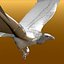 griffon vulture lwo