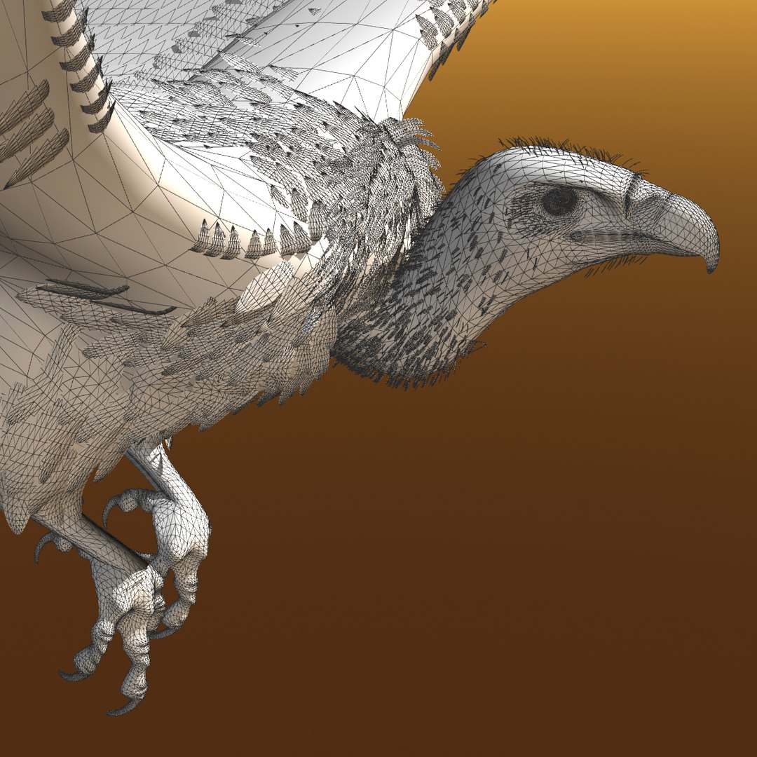 griffon vulture lwo https://p.turbosquid.com/ts-thumb/wo/PLHbn9/VTi7HSCM/gvulturewire03/jpg/1366821524/1920x1080/fit_q87/6b07389a4b0e2f09e03d42b051128830ea4f7778/gvulturewire03.jpg