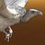 griffon vulture lwo