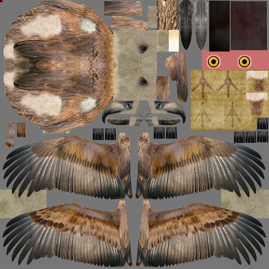 griffon vulture lwo https://p.turbosquid.com/ts-thumb/wo/PLHbn9/bED2lAoT/gvmapimage/jpg/1366848549/1920x1080/fit_q87/df7b7b6d54117c6a9905eb2a47e7fff6d8e0a0fd/gvmapimage.jpg