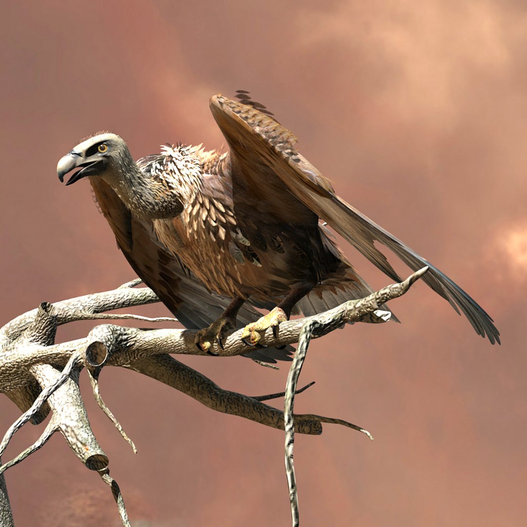 griffon vulture lwo https://p.turbosquid.com/ts-thumb/wo/PLHbn9/pXMTt7ub/gvulture07/jpg/1366821524/1920x1080/fit_q87/f849fafb3277fb5502e24f2e0c712cd7f0a70305/gvulture07.jpg