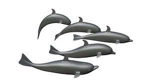 3D dolphin model