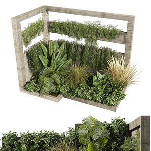 3D model plant vol 707 - garden - palm - grass - leaf