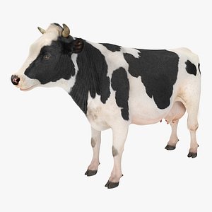 3D dairy cow fur