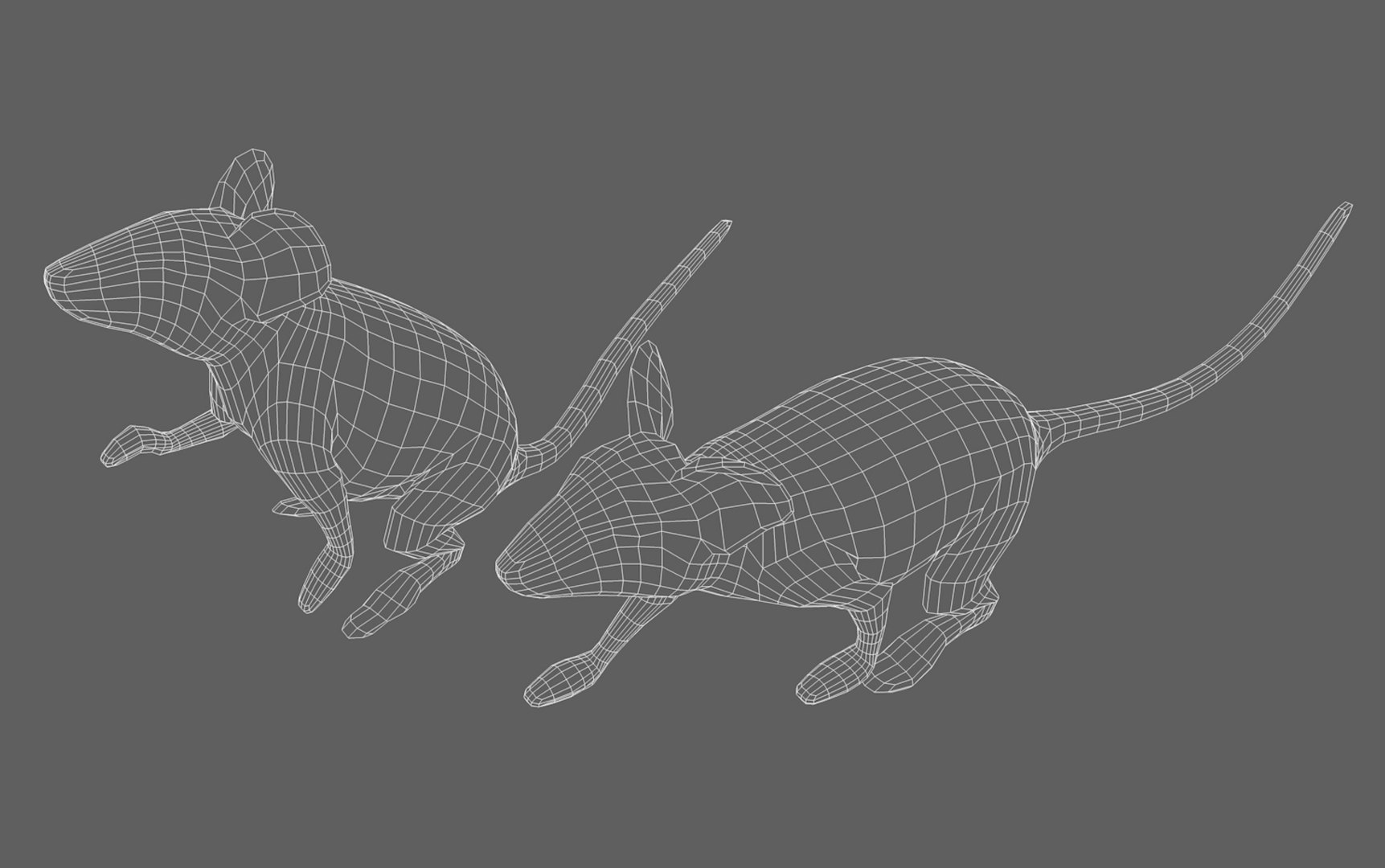 Rigged Mouse Animation 3D Model - TurboSquid 1570761