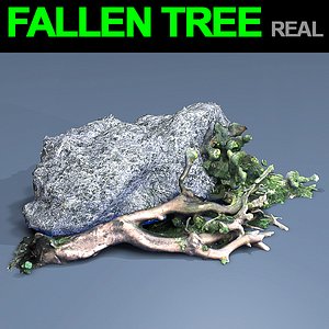fall tree 3D