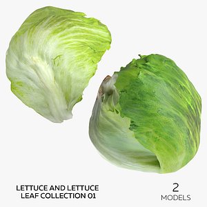 3D Lettuce and Lettuce Leaf Collection 01 - 2 models model