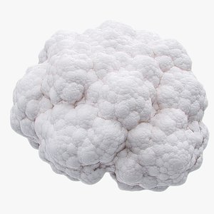 max cauliflower photorealistic scaned