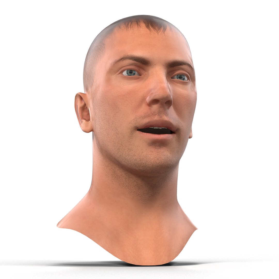 caucasian male head rigged 3D https://p.turbosquid.com/ts-thumb/wp/5JwpBi/TVpZZefx/caucasianmaleheadrigged3dmodel13/jpg/1433051295/1920x1080/fit_q87/08e3b89bc48ca2723e449e15cc8c316373a04b2b/caucasianmaleheadrigged3dmodel13.jpg