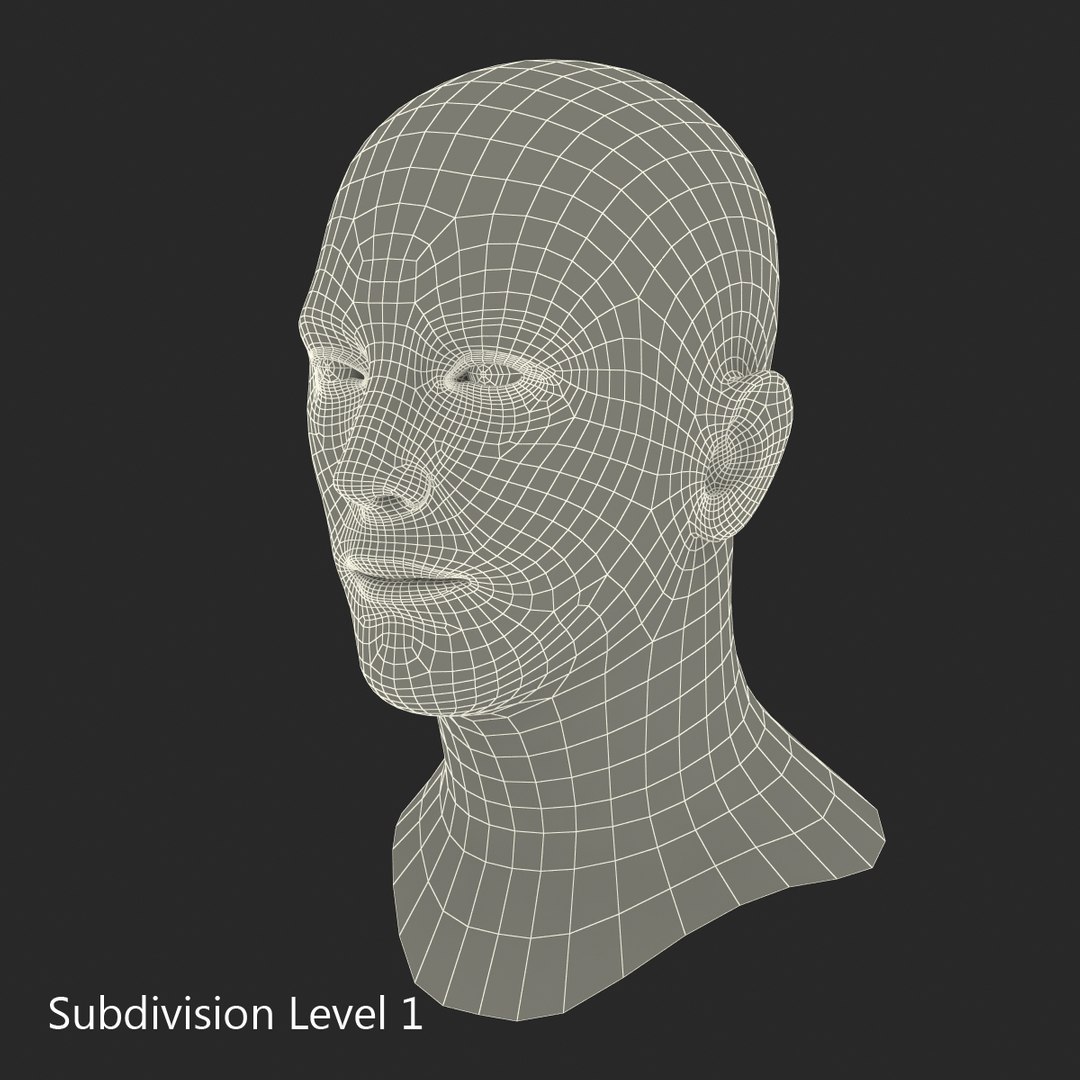 caucasian male head rigged 3D https://p.turbosquid.com/ts-thumb/wp/5JwpBi/YylXTCbA/caucasianmaleheadrigged3dmodel26/jpg/1433051296/1920x1080/fit_q87/d5db1e98897f096a043da516eef7d6b8cc0fb743/caucasianmaleheadrigged3dmodel26.jpg