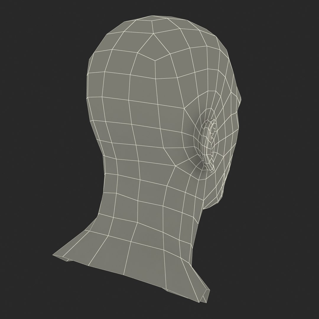 caucasian male head rigged 3D https://p.turbosquid.com/ts-thumb/wp/5JwpBi/lCei0hED/caucasianmaleheadrigged3dmodel31/jpg/1433051296/1920x1080/fit_q87/426d833e2282704686c928a0a7ee640bfb3d1d4b/caucasianmaleheadrigged3dmodel31.jpg