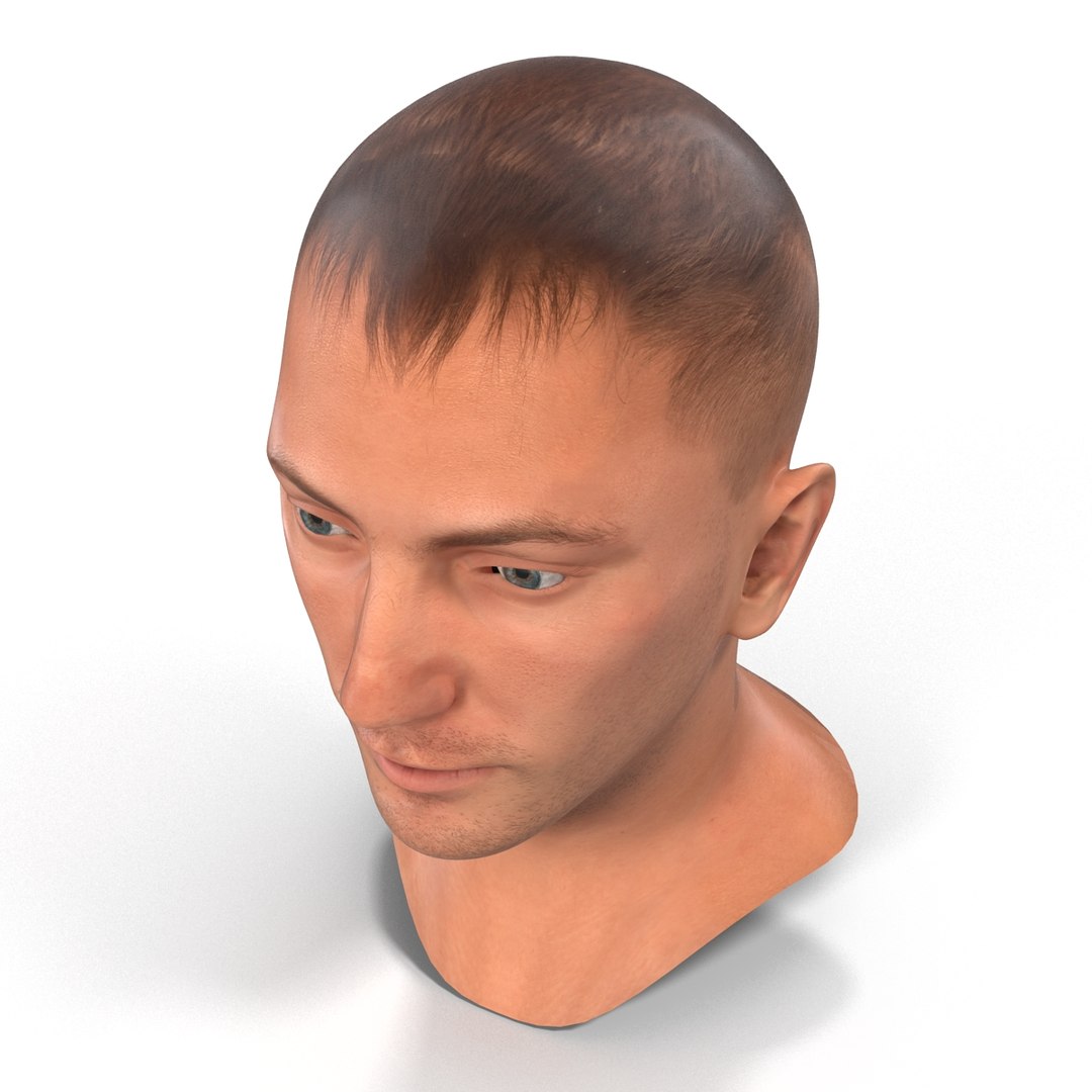 caucasian male head rigged 3D https://p.turbosquid.com/ts-thumb/wp/5JwpBi/qpRdyTcs/caucasianmaleheadrigged3dmodel16/jpg/1433051295/1920x1080/fit_q87/3d8ba2fa9d968b99d0ec871b4a963c5a75215886/caucasianmaleheadrigged3dmodel16.jpg