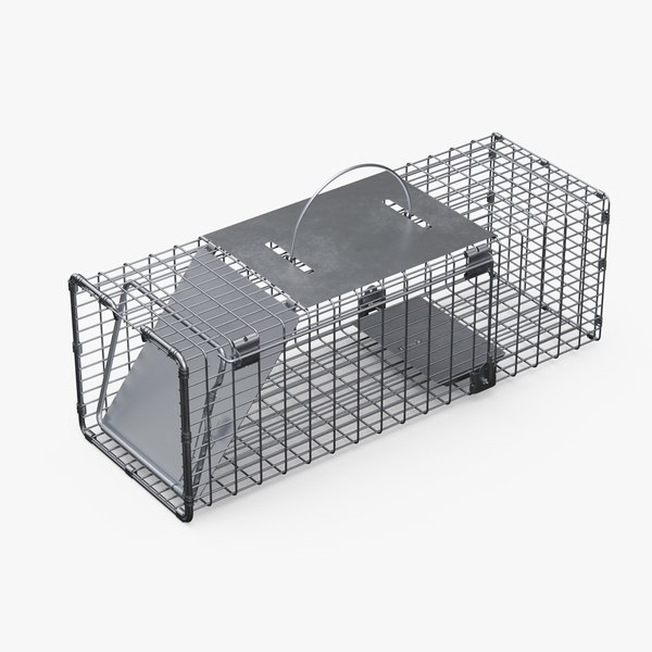 Professional Animal Cage Trap One Door 3D 모델 TurboSquid 1967993