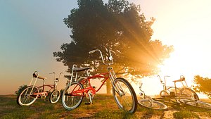 3D Retro Bicycle 3D Model Inspired by the Classic Schwinn Sting-Ray