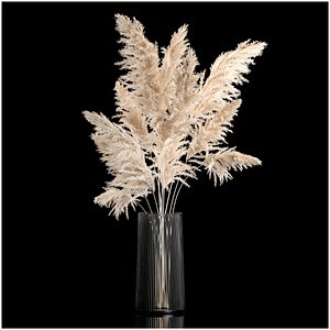 3D Bouquet Dried Flowers From Pampas Grass In A Vase 246 model