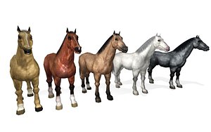 horses lowpoly collection rigg animated
