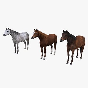 Horse collection