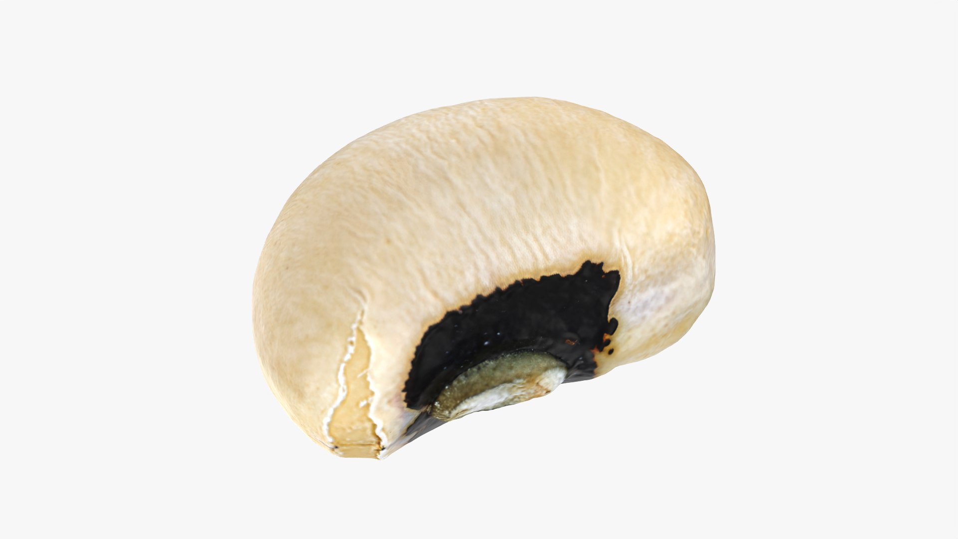 Beans - 3D Scanned Collection 3D model https://p.turbosquid.com/ts-thumb/wp/tiSmYH/3q/blackeyed02_0001/png/1788663695/1920x1080/fit_q87/41f9f2c1d90251a99c72ccb2e18f1dadc36db9c8/blackeyed02_0001.jpg
