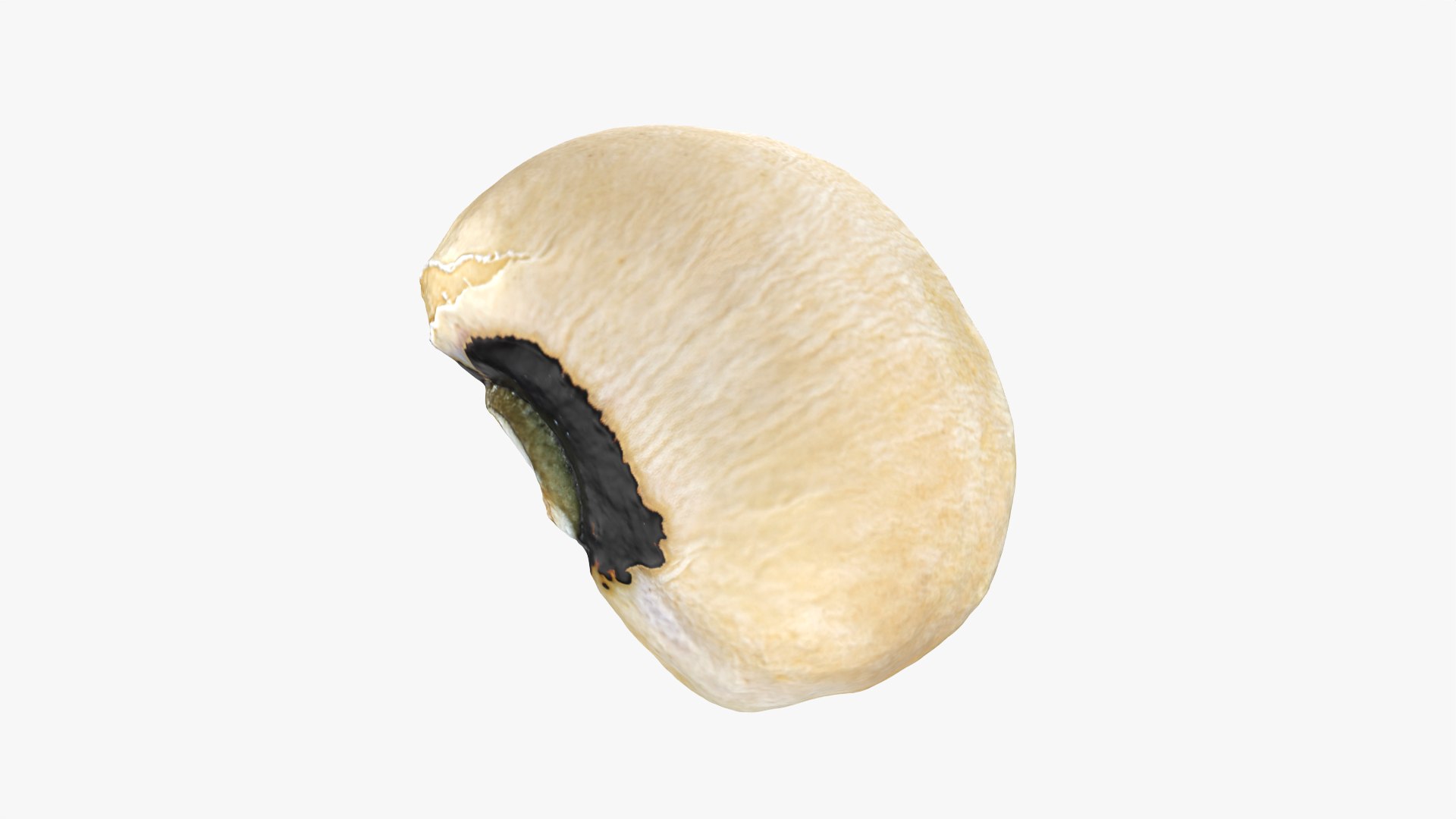 3D Black Eyed 02 model https://p.turbosquid.com/ts-thumb/wp/tiSmYH/KU/blackeyed02_0011/png/1765028444/1920x1080/fit_q87/cac047f408374e0770c0f5e2156bbfcafca52893/blackeyed02_0011.jpg
