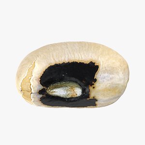 3D Black Eyed 02 model