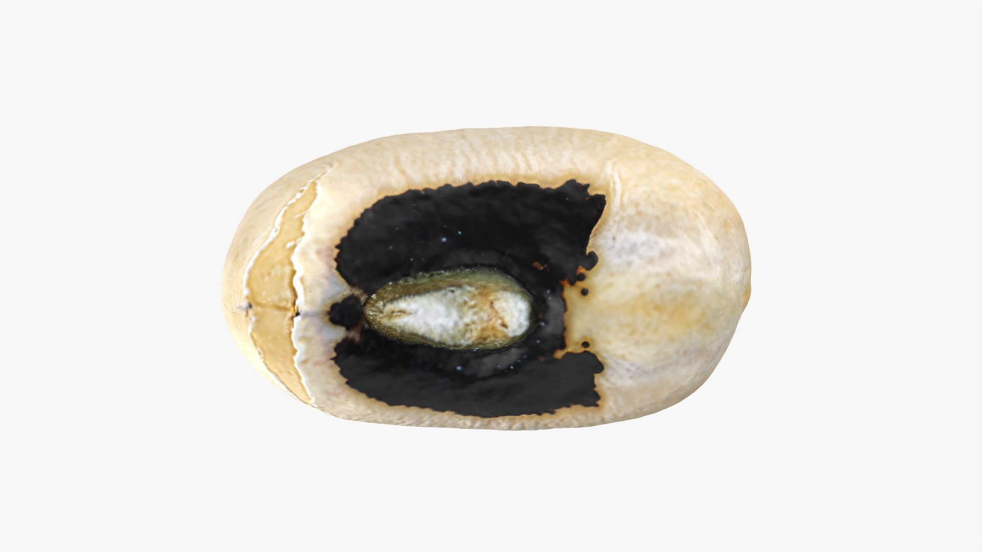 3D Black Eyed 02 model https://p.turbosquid.com/ts-thumb/wp/tiSmYH/Oy/blackeyed02_0005/png/1765028419/1920x1080/fit_q87/41df3558ff50432cdf5c6146f754c86412c75c14/blackeyed02_0005.jpg