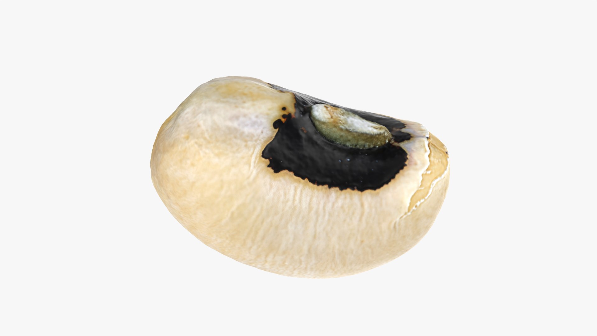3D Black Eyed 02 model https://p.turbosquid.com/ts-thumb/wp/tiSmYH/Yd/blackeyed02_0002/png/1765028402/1920x1080/fit_q87/0beabdb611759cf63ba0f5bebfa16779da48ebfd/blackeyed02_0002.jpg