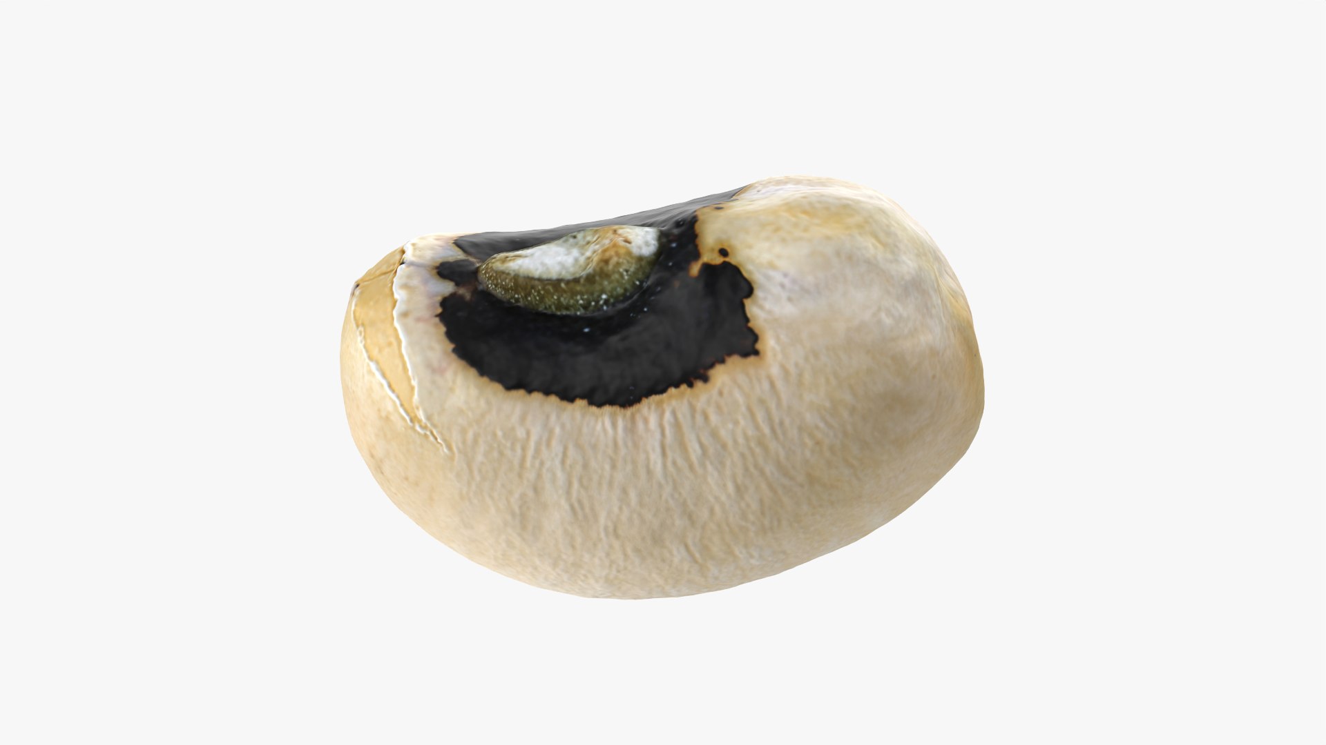 3D Black Eyed 02 model https://p.turbosquid.com/ts-thumb/wp/tiSmYH/a8/blackeyed02_0010/png/1765028434/1920x1080/fit_q87/4bea91593aeb4b4d4cf960b5ea710d65bd97773e/blackeyed02_0010.jpg
