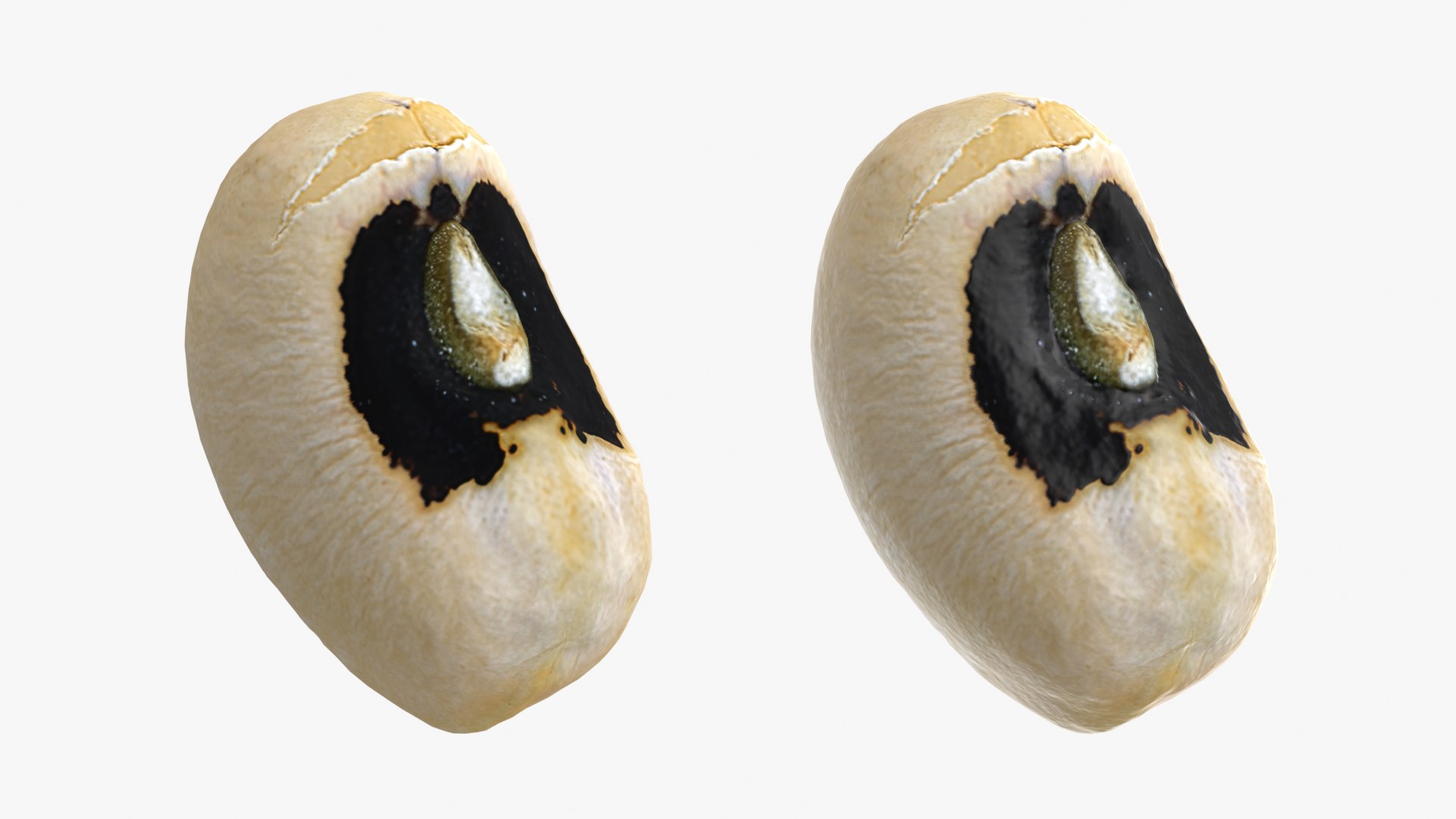 3D Black Eyed 02 model https://p.turbosquid.com/ts-thumb/wp/tiSmYH/jS/blackeyed02_0001b/png/1765028396/1920x1080/fit_q87/8ab3f9ebbaab9b310073bdfdd7bad2a3f61eab51/blackeyed02_0001b.jpg