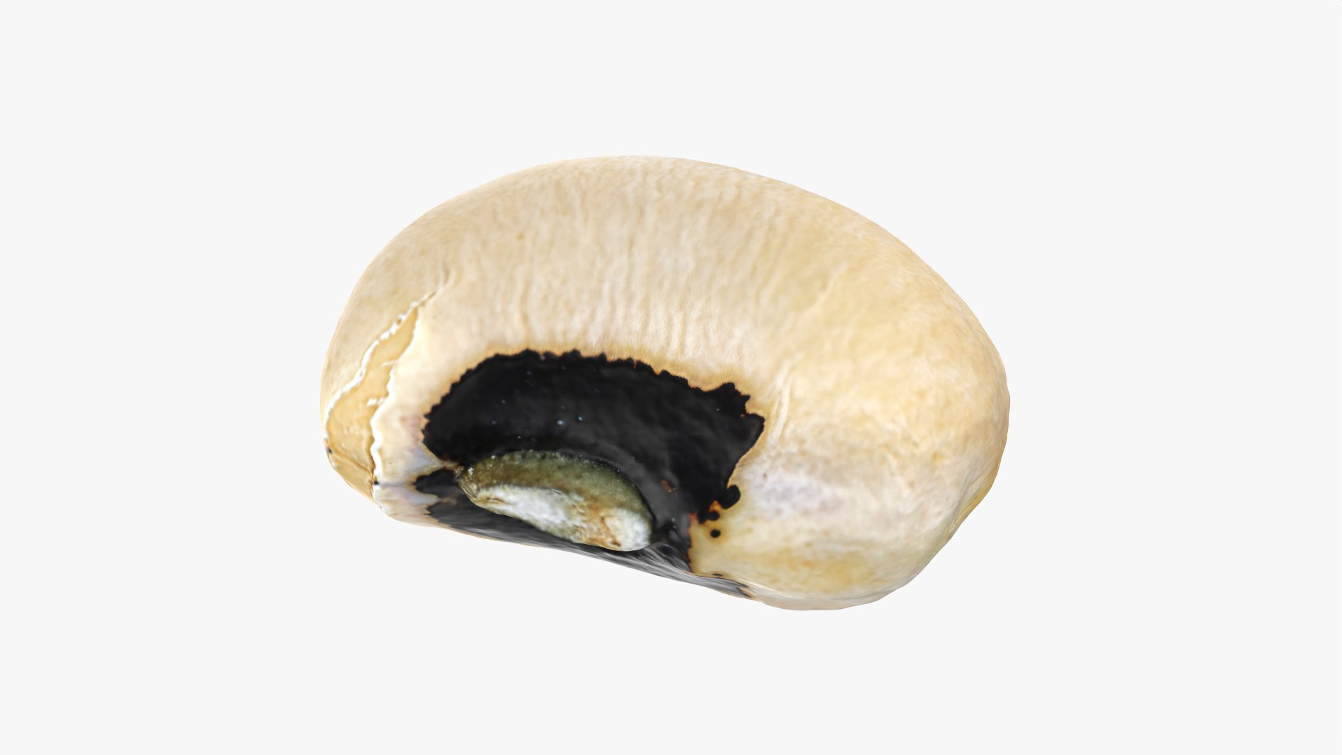 3D Black Eyed 02 model https://p.turbosquid.com/ts-thumb/wp/tiSmYH/v1/blackeyed02_0003/png/1765028410/1920x1080/fit_q87/7a627f674b69d9d46181c780bed33f27593102dc/blackeyed02_0003.jpg