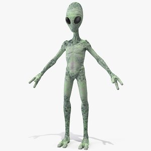 green alien rigged 3D model
