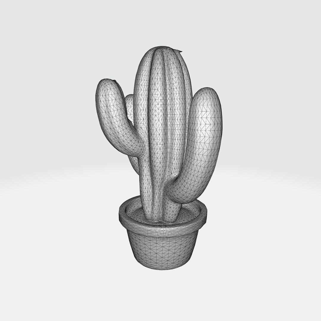 Vibrant Cactus In Terracotta Pot 3D Model - TurboSquid 2276156