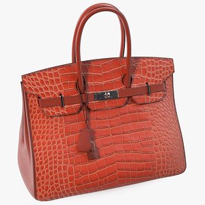 3D Hermes Birkin Bag Alligator
