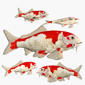 fully rigged low poly Koi fish 3D model