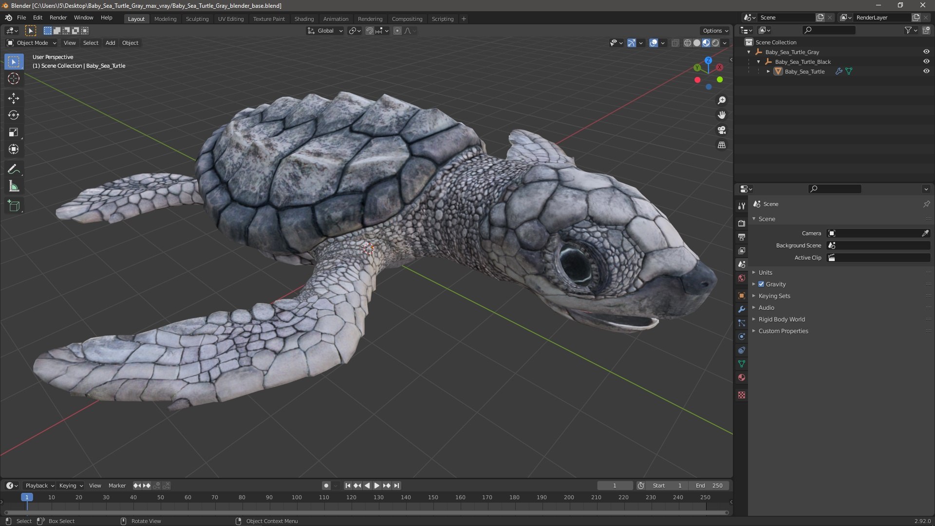 Baby Sea Turtle Gray 3D Model - TurboSquid 2202038