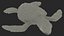 Baby Sea Turtle Gray 3D model