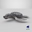 Baby Sea Turtle Gray 3D model