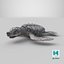 Baby Sea Turtle Gray 3D model